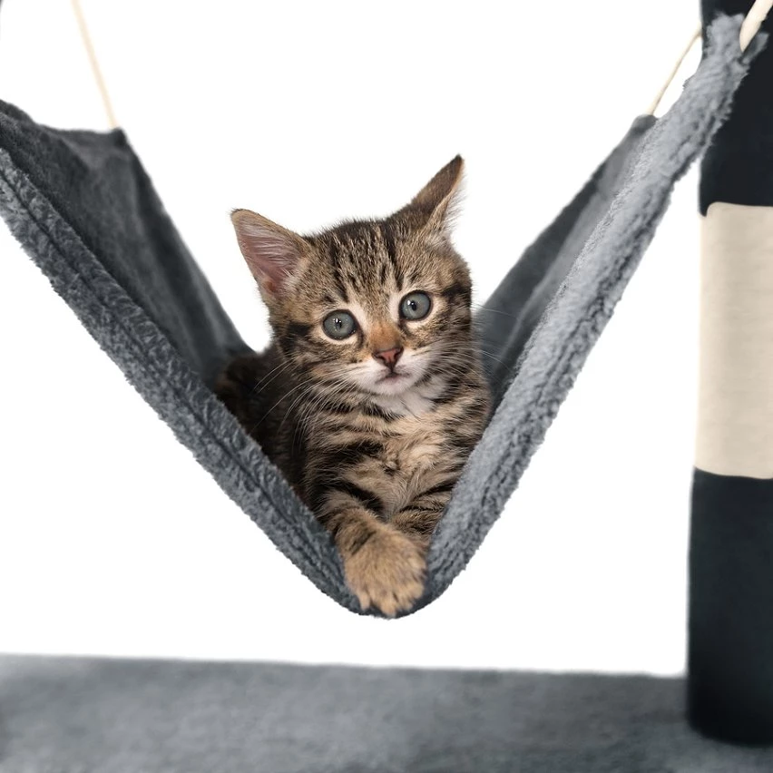 Promo 🎁 Tectake Arbre à Chat STOKELEY 141 cm - gris 👍 4 Promo 🎁 Tectake Arbre à Chat STOKELEY 141 cm - gris 👍 – Image 4