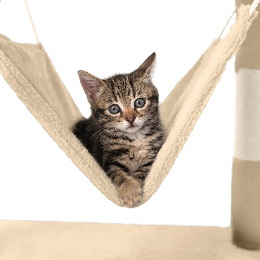 Les meilleures critiques de 🥰 Tectake Arbre à Chat STOKELEY 141 cm - beige/blanc ⭐ 4 Les meilleures critiques de 🥰 Tectake Arbre à Chat STOKELEY 141 cm - beige/blanc ⭐ – Image 4