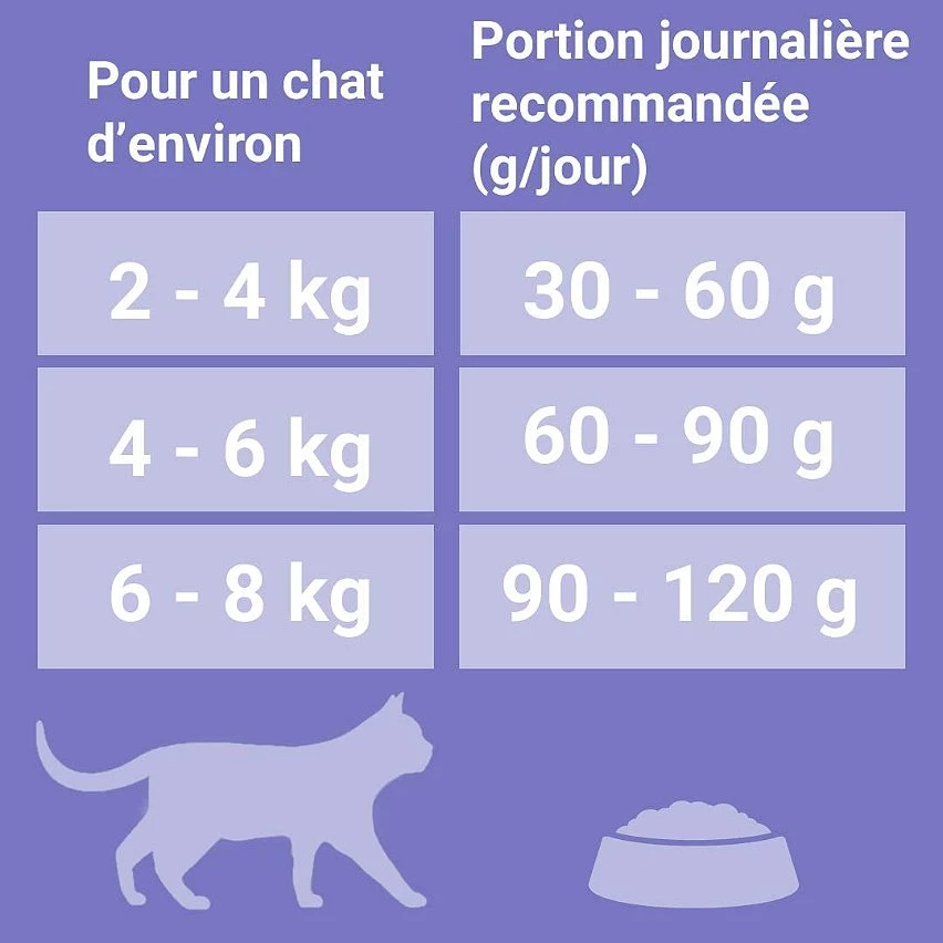 Meilleur prix 🎉 Croquette PURINA ONE Spécial Chat à l'Appetit Difficile - Cabillaud & Truite 1,5KG 😉 4 Meilleur prix 🎉 Croquette PURINA ONE Spécial Chat à l'Appetit Difficile - Cabillaud & Truite 1,5KG 😉 – Image 4