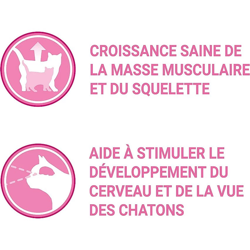 Nouveau 🧨 Sachets PURINA ONE Junior - Effilés en Sauce au Saumon - 4x85g 🧨 2 Nouveau 🧨 Sachets PURINA ONE Junior - Effilés en Sauce au Saumon - 4x85g 🧨 – Image 2