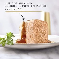 Sortie 🎉 Secret de Gourmet Gourmet Cœur Fondant Pâtée chat adulte : Bœuf, Poulet, Thon, Saumon - 12x85g 🔥 -Promos Chat Boutique 7613036411981 2