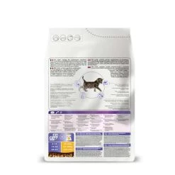 Promo 👍 Purina Croquettes ProPlan Chaton Poulet : 3 kg 🤩 -Promos Chat Boutique 7613036505277 3