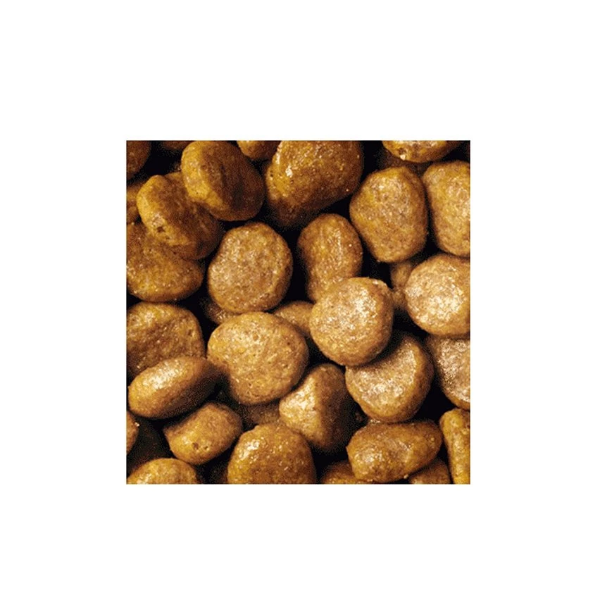 Promo ⭐ Purina Croquettes PRO PLAN Chat Adulte Poulet : 1,5 kg 💯 2 Promo ⭐ Purina Croquettes PRO PLAN Chat Adulte Poulet : 1,5 kg 💯 – Image 2