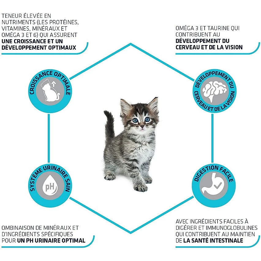 Meilleure affaire 🥰 Croquette Advance - Pour Chaton - Poulet & Riz ✨ 2 Meilleure affaire 🥰 Croquette Advance - Pour Chaton - Poulet & Riz ✨ – Image 2