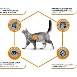 Meilleure vente 💯 ADVANCE Veterinary Diets - Croquette pour Chat Weight Balance - 8kg 🎉 -Promos Chat Boutique 8410650239163 3