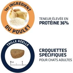Meilleur prix 😍 Affinity Advance - Croquette pour Chat Adult - Poulet et Riz - 3 kg 🎁 11 Meilleur prix 😍 Affinity Advance - Croquette pour Chat Adult - Poulet et Riz - 3 kg 🎁 -Promos Chat Boutique 8410650239170 6 2