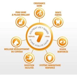 Les meilleures critiques de 🌟 Croquette IAMS - Vitality Chaton - Poulet 🛒 -Promos Chat Boutique 8710255150055 3