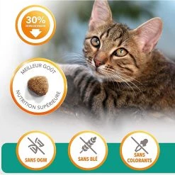 Acheter ⭐ Croquette IAMS Vitality - Chat Adult Stérilisé 🛒 -Promos Chat Boutique 8710255150536 4