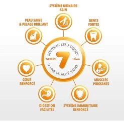 Acheter ⭐ Croquette IAMS Vitality - Chat Adult Stérilisé 🛒 -Promos Chat Boutique 8710255151731 3