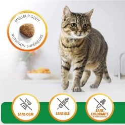 Promo ⭐ Croquette IAMS - Vitality Chat Adult - Agneau - 1,5kg 💯 -Promos Chat Boutique 8710255151731 4