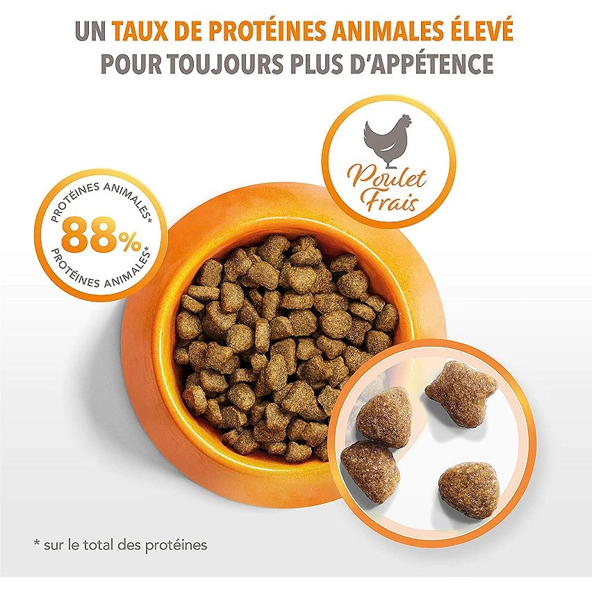 Offres 🎉 Croquette IAMS Vitality - Pour Chat Senior 1,5kg 🤩 2 Offres 🎉 Croquette IAMS Vitality - Pour Chat Senior 1,5kg 🤩 – Image 2
