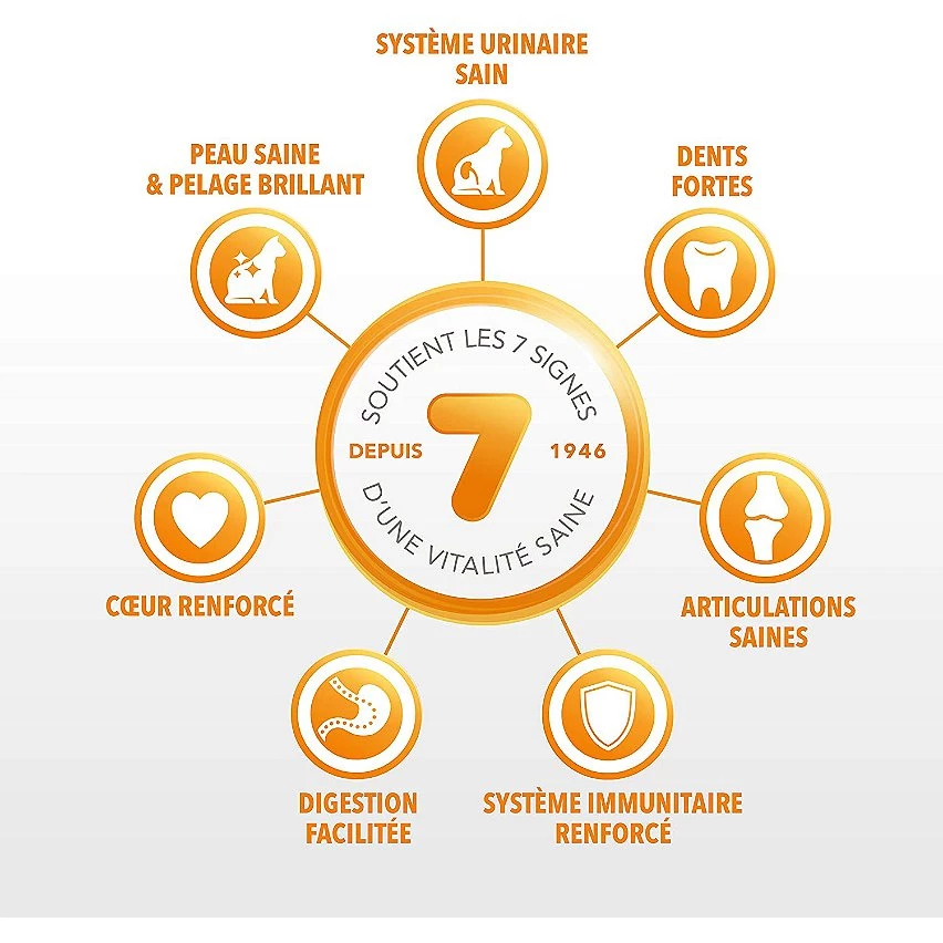 Offres 🎉 Croquette IAMS Vitality - Pour Chat Senior 1,5kg 🤩 3 Offres 🎉 Croquette IAMS Vitality - Pour Chat Senior 1,5kg 🤩 – Image 3