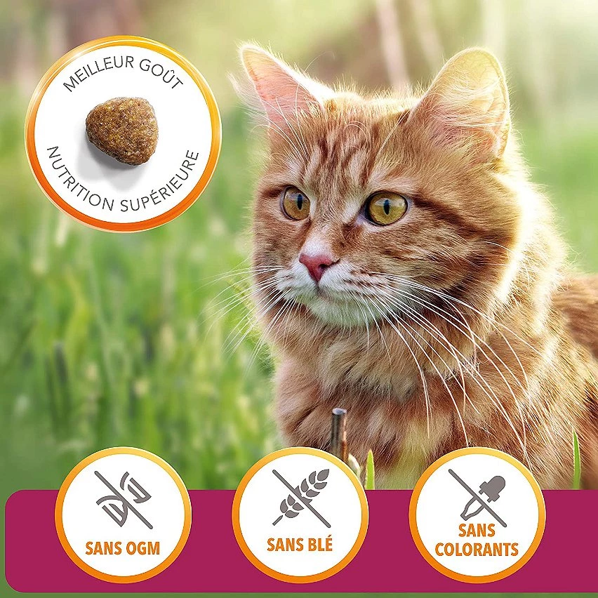 Offres 🎉 Croquette IAMS Vitality - Pour Chat Senior 1,5kg 🤩 4 Offres 🎉 Croquette IAMS Vitality - Pour Chat Senior 1,5kg 🤩 – Image 4