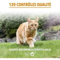 Offres 🎉 Croquette IAMS Vitality - Pour Chat Senior 1,5kg 🤩 11 Offres 🎉 Croquette IAMS Vitality - Pour Chat Senior 1,5kg 🤩 -Promos Chat Boutique 8710255151779 6
