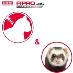 Meilleur prix 😍 Beaphar - FIPROtec - Combo Spot-On - Chat et Furet - 50 mg/60mg ✔️ -Promos Chat Boutique 8711231151042 3