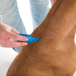 Grosses soldes 😀 Beaphar FIPROtec antiparasitaire chat : 6 pipettes 🛒 5 Grosses soldes 😀 Beaphar FIPROtec antiparasitaire chat : 6 pipettes 🛒 -Promos Chat Boutique 8711231161287 3 1