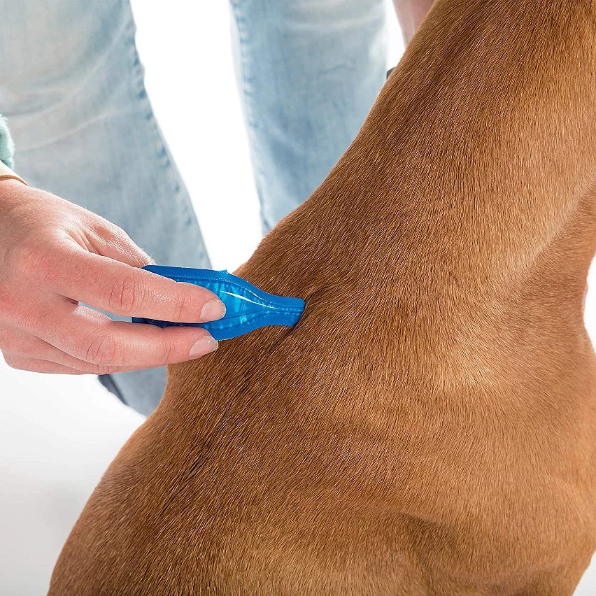 Grosses soldes 😀 Beaphar FIPROtec antiparasitaire chat : 6 pipettes 🛒 3 Grosses soldes 😀 Beaphar FIPROtec antiparasitaire chat : 6 pipettes 🛒 – Image 3