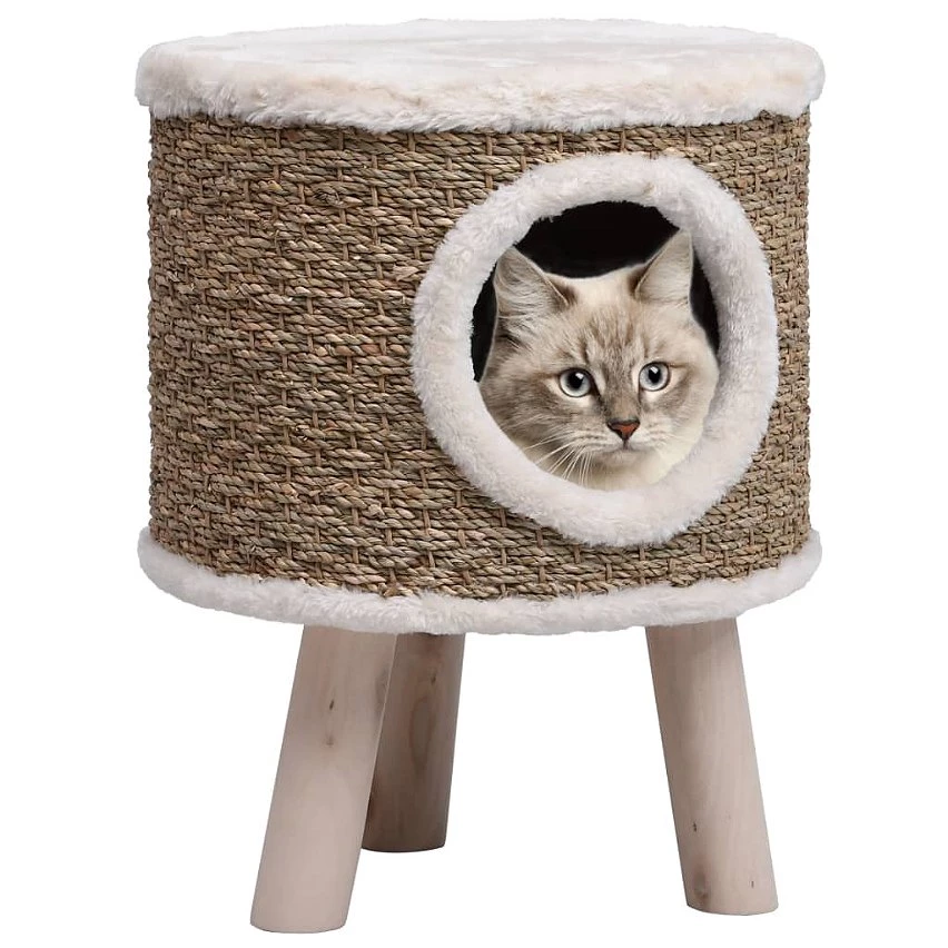 De gros 💯 vidaXL Maison pour chat avec pieds en bois 41 cm Herbiers marins 🎁 1 De gros 💯 vidaXL Maison pour chat avec pieds en bois 41 cm Herbiers marins 🎁