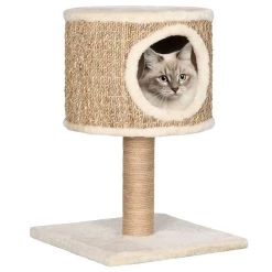 Coupon 🔔 vidaXL Arbre à chat avec appartement et griffoir 52 cm Herbiers marins 🎁