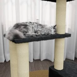 Les meilleures critiques de 😍 vidaXL Arbre à chat avec griffoirs en sisal Gris foncé 71 cm 🌟