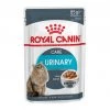 Budget 🌟 Sachet Sachet Royal Canin Urinary Care en sauce - Lot 12 x 85g 🔔