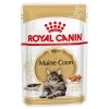 Acheter ✔️ Sachet Royal Canin Maine Coon Adult en sauce - Lot 12 x 85g 💯