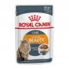 Bon marché 🤩 Sachet Royal Canin Intense Beauty en sauce - Lot 12 x 85g ⭐