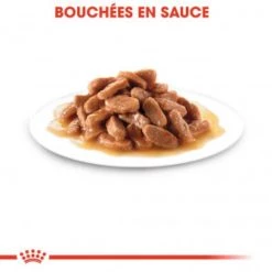 Top 10 😉 Sachet Royal Canin Kitten en sauce - Lot 12 x 85g 🛒 -Promos Chat Boutique 9003579308745 3