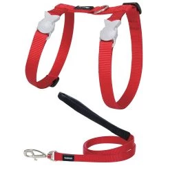 Top 10 🛒 Harnais et laisse Red Dingo Chats turquoise 🤩 -Promos Chat Boutique 9330725022782 1