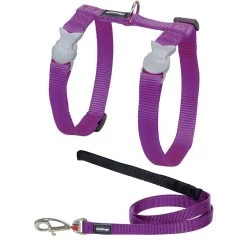 Top 10 🛒 Harnais et laisse Red Dingo Chats turquoise 🤩