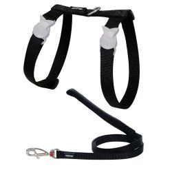 Top 10 🛒 Harnais et laisse Red Dingo Chats turquoise 🤩 -Promos Chat Boutique 9330725022829 1